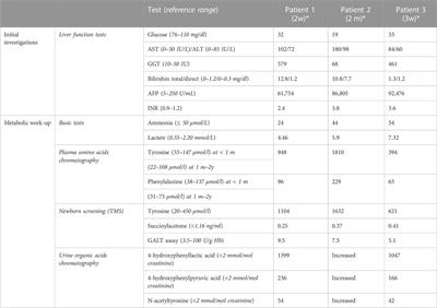 Mitochondrial depletion syndrome type 3: the Lebanese variant